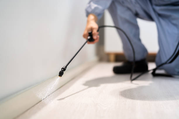 Bed Bug Pre-Treatment Preparation Assessment in Tylertown
