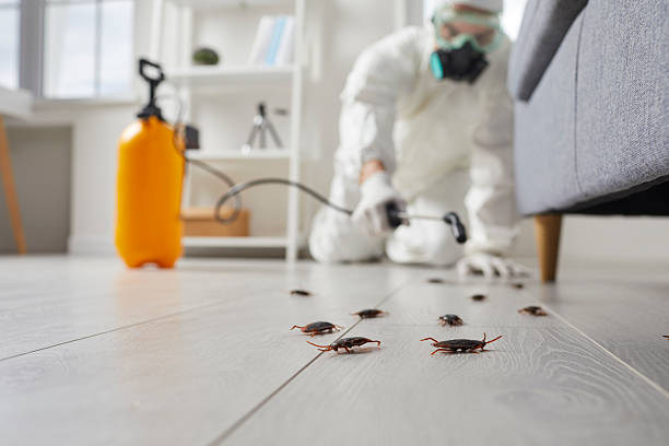 Post-Treatment Bed Bug Interceptor Monitoring in Tylertown