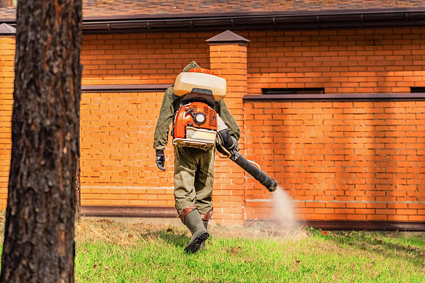 Bed Bug Clearance Verification and Documentation in Tylertown